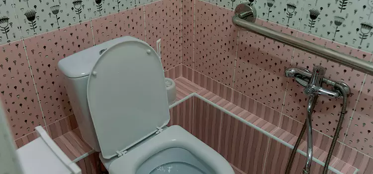 Meeting Diverse Needs With Accessible Restroom Solutions in San Luis, AZ